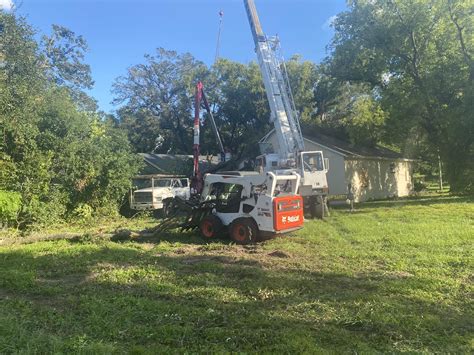tree service lakeland|fields tree and land management.